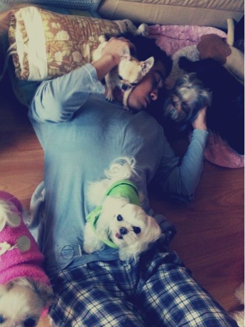 Go Young Wook's Wonderful New Years With His Pets | KpopStarz