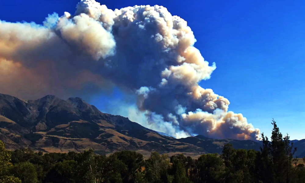 Yellowstone National Park Forest Fire Caught On Video, And It's