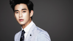 Kim Soo Hyun 