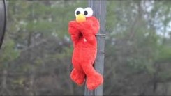 elmo