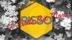 album cover for Risso's 