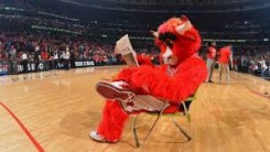 benny the bull