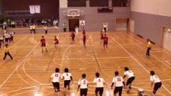 dodgeball game