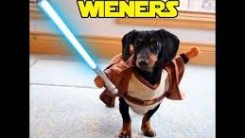 wieners