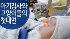 baby and cats