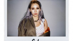 CL Alexander Wang