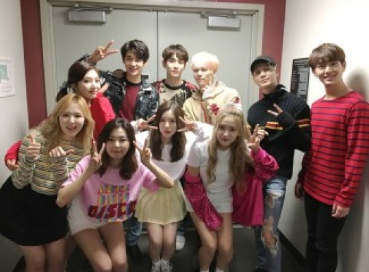 Red Velvet and SHINee