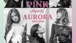 APINK