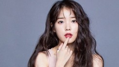 IU's Agency Responds And Apologizes For Ticket Fraud Incident At IU's Concert