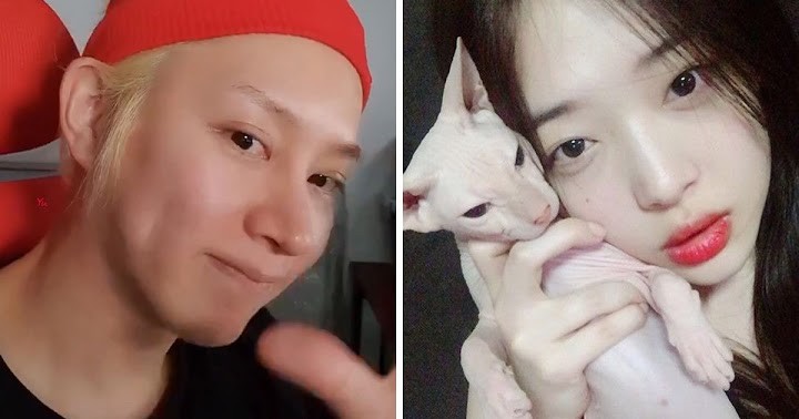 Fans Suspected Sulli's Cat was Really Adopted by Kim Heechul After a Broadcast