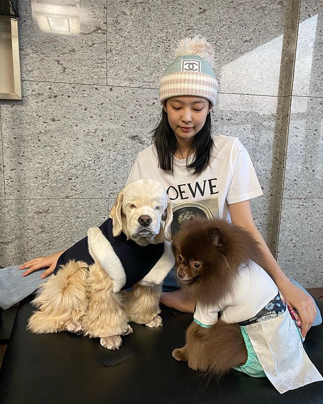 Jennie Happy New Year Greetings with Dogs