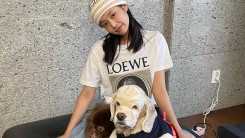 Jennie Happy New Year Greetings with Dogs