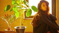 'Quality Queen' Chungha joins up with hit composer Armadillo… 29th comeback