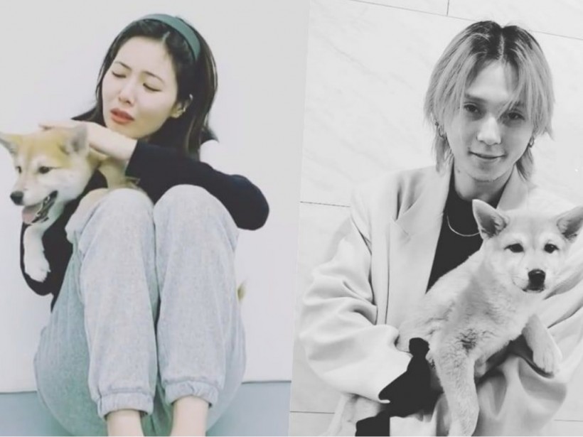 K-pop Idols Who Became Parents as they Embrace Adoption 