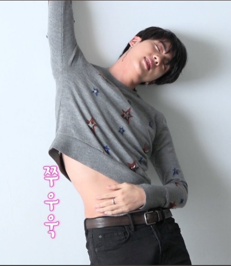 Wow! Check the Hottest Male K-pop Idols Rocking Crop Tops | KpopStarz