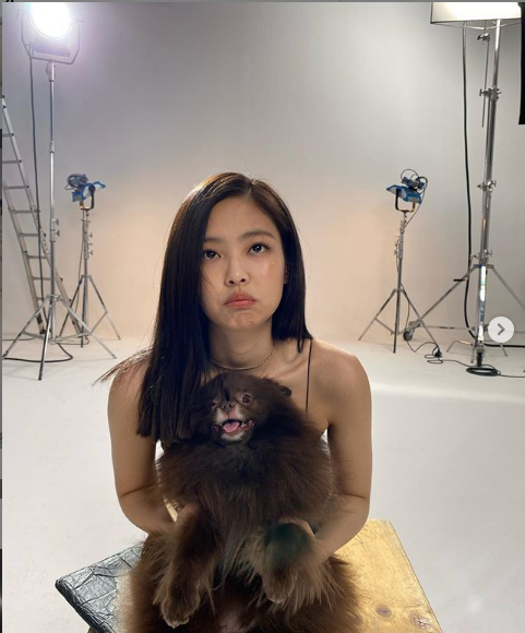 Jennie Poses For Vogue Korea With Kuma The Dog Where Is Kai Fashion