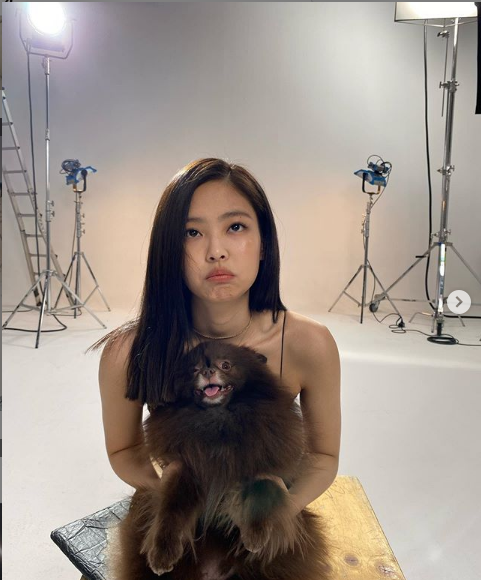 Jennie Poses for Vogue Korea with Kuma the Dog: Where is Kai?