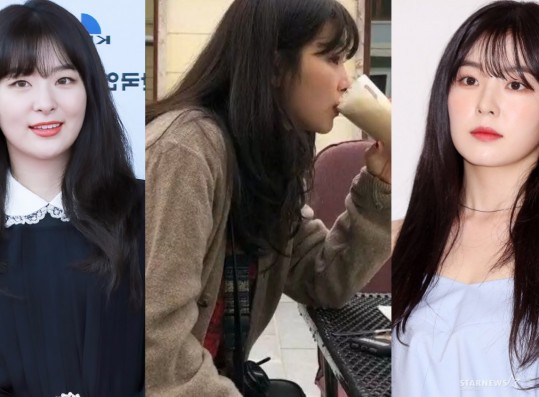 Is it Irene or Seulgi? Fans Debate on Which Red Velvet Member is in These Photos