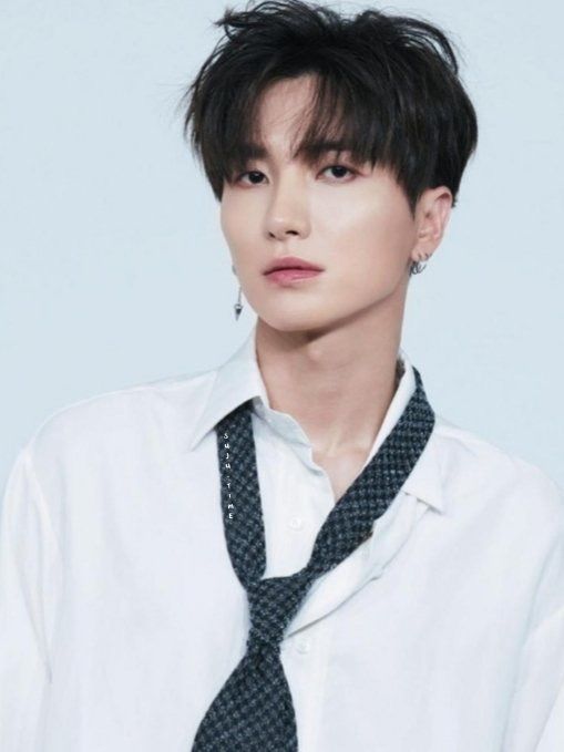 SuJu's Leeteuk Expresses Frustration at Sasaengs' Continuous Attempt To ...
