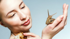 Most Effective Korean Snail Creams Suggested by Koreans