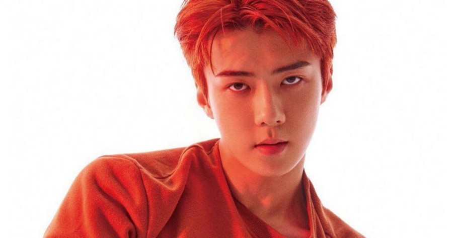 EXO Sehun Hailed as "April's Miracle" + The Mystery Behind His Brown Dog Revealed