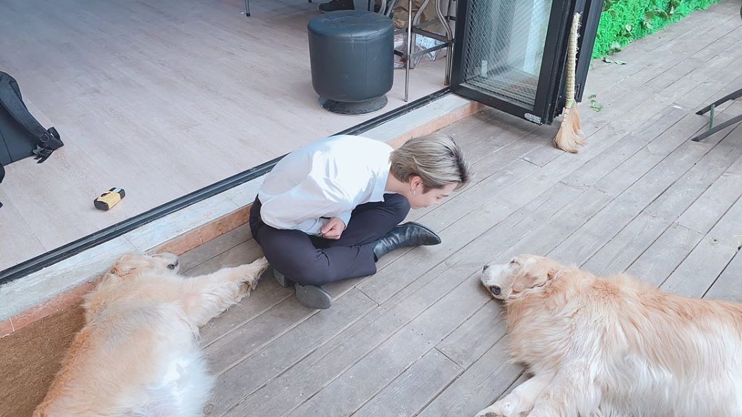 BTS Jimin, sweet eyes to interact with large dogs