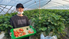 SUGA strawberry field experience, big smile after harvesting strawberries