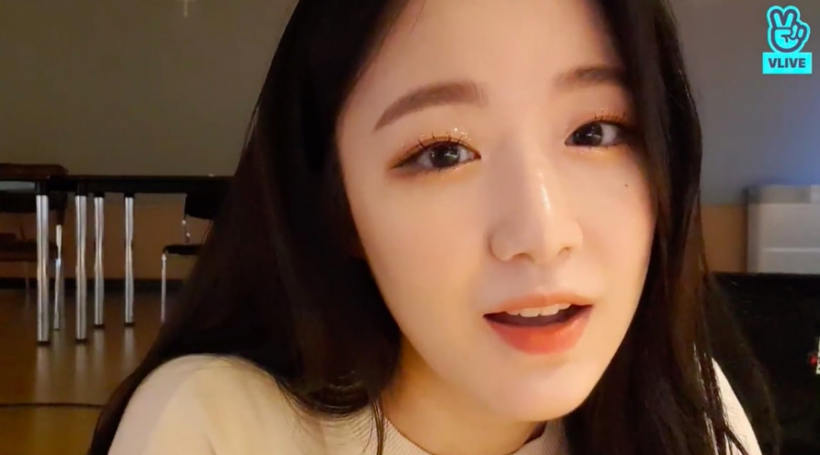 WATCH: (G)I-DLE Shuhua Talks Back At Malicious Commenter During Live ...