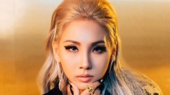 CL Gets Massive Praise For Her Powerful Message Against Racism