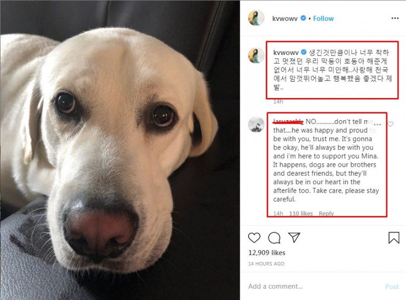 Former AOA Mina Rumors of Self-hurt Based on Deleted Instagram Post