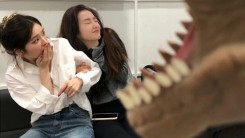 Who Is With Red Velvet Irene's on her Latest SNS Update + Fans Totally Confused