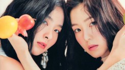 Red Velvet Irene And Seulgi To Star In A Reality Entertainment Show + Find Out The Details