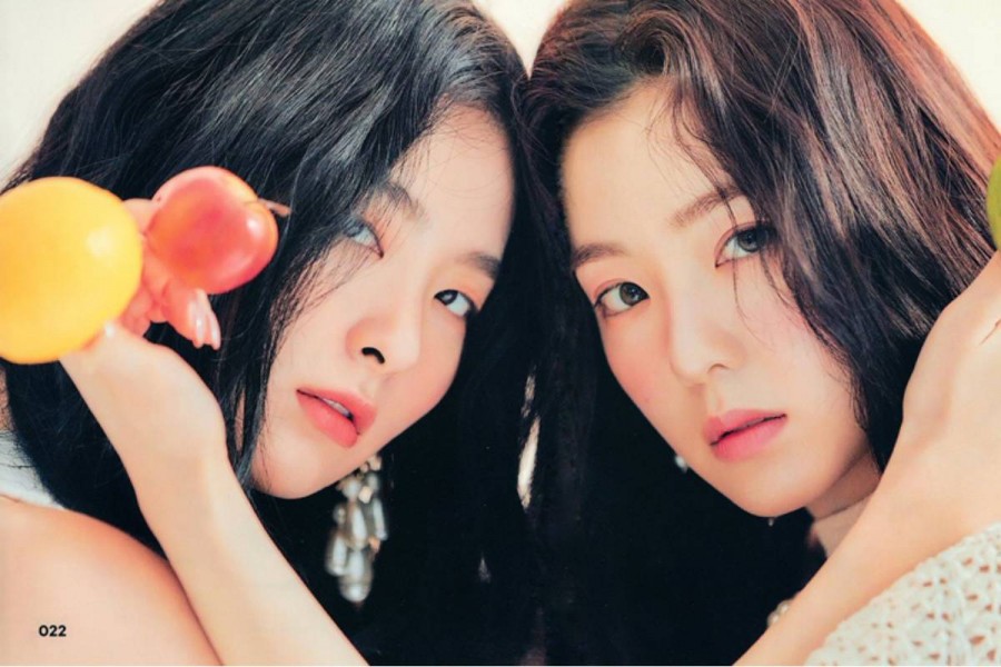 Red Velvet Irene And Seulgi To Star In A Reality Entertainment Show + Find Out The Details