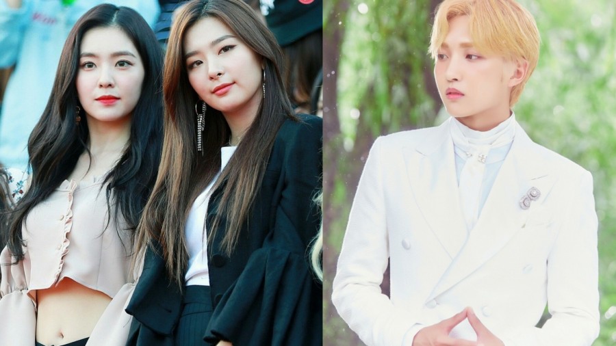 11 K-pop Idols Who Belted the Best One of Korea's Toughest Song to Cover, Seo Chan Whee "Tears"
