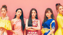 Check This List Of The Most Dreadful Replies Red Velvet Members Received From LYSN