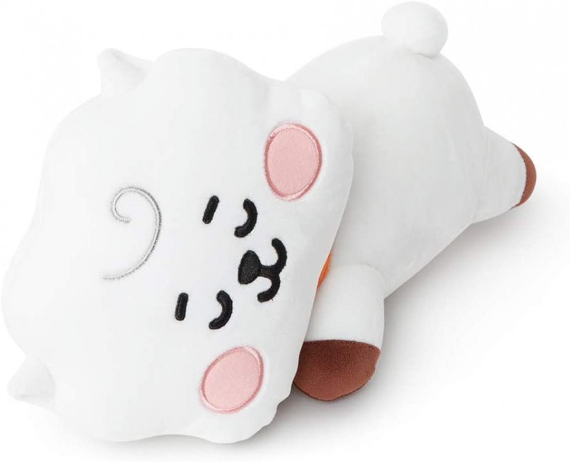 Here are BT21 Pillow Cushions for Your Home That You Should Have