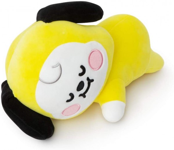 bt21 soft mini pillow cushion