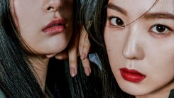 'Debut D-3' Red Velvet Irene & SEULGI, 'Monster' MV teaser released