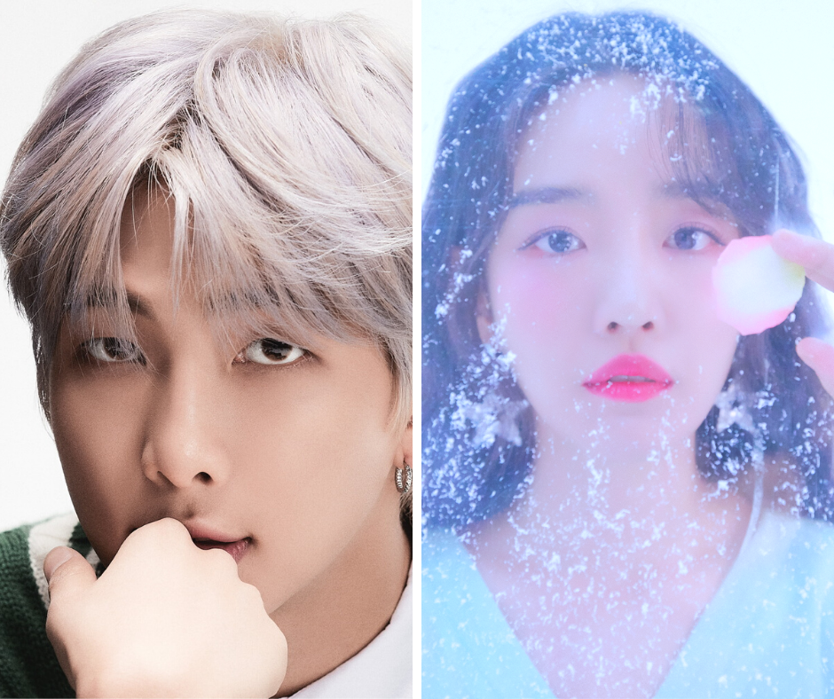 Is Younha The Ideal Girl Of BTS RM? + RM Shares Personal Details