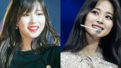 Plastic Surgeons Determine The Charming Visual Points of Each TWICE Member