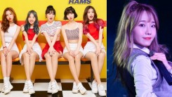 Disbanded Yellow Bee Fights Real Reason for Disbandment + Ari Claims Molestations Happened