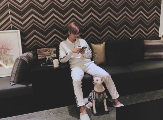 BTS RM, Rapmon and their cute dog