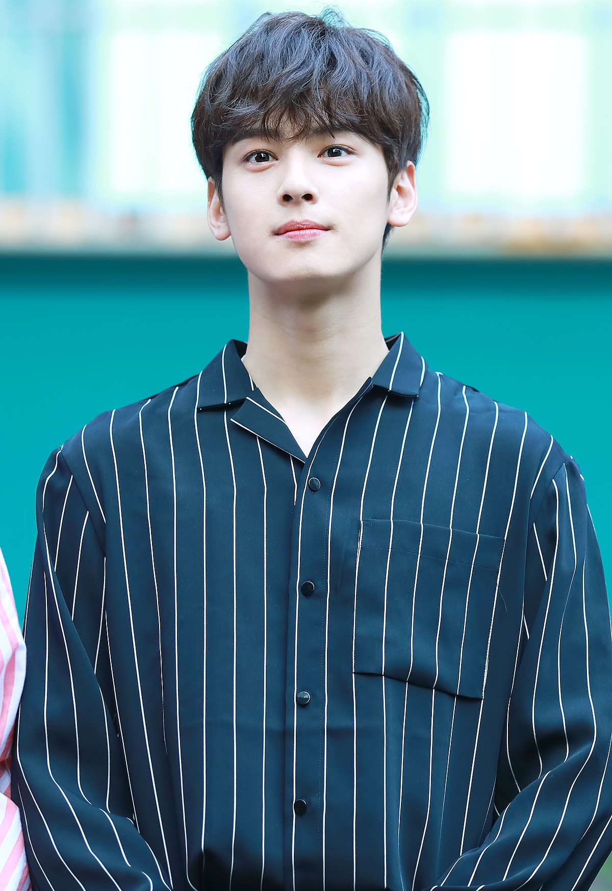 Cha Eunwoo, Wiki