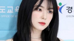 Korean Netizens Demand Irene Leave Red Velvet Following Attitude Controversy