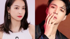 Korean Netizens Start Petition To Ban Certain Chinese Idols From Actively Promoting in Korea