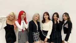 MOMOLAND