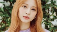 Fans Are Upset With JYP Entertainment For Allegedly Mistreating TWICE Member Tzuyu