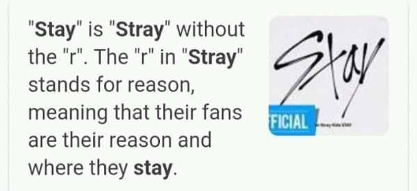 Stray Kids And Rookie Group Stayc S Fans Are Fighting Because Of Fandom Names Kpophit Kpop Hit