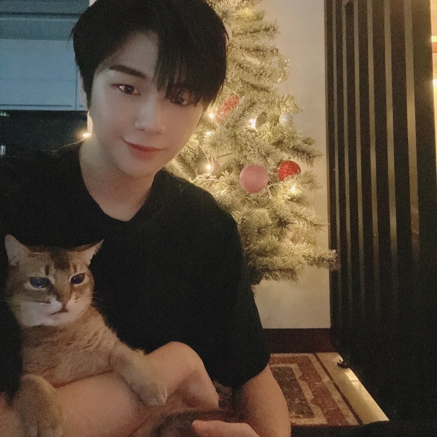 Kang Daniel, with a cat at the end of the year
