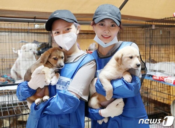 BLACKPINK's Rose adopts an abandoned pup as he begins a new life as an  Instagram star : r/kpop